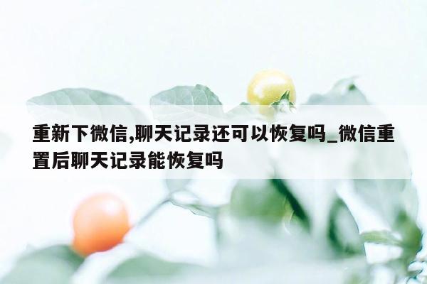 重新下微信,聊天记录还可以恢复吗_微信重置后聊天记录能恢复吗