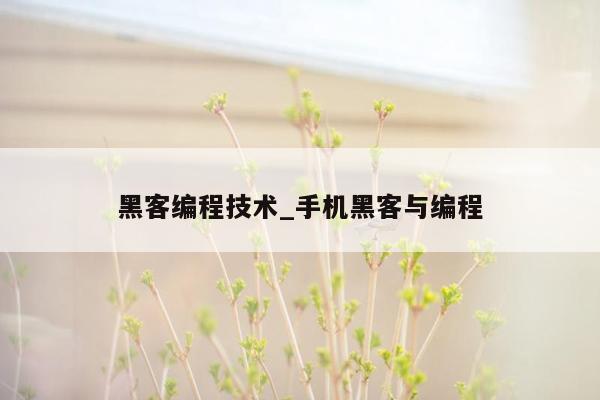 黑客编程技术_手机黑客与编程