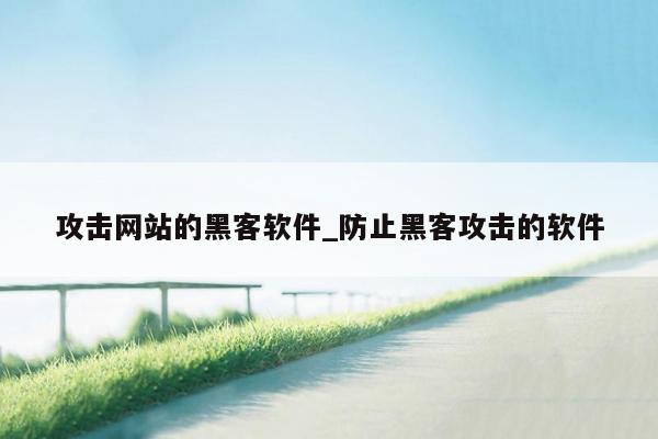 攻击网站的黑客软件_防止黑客攻击的软件