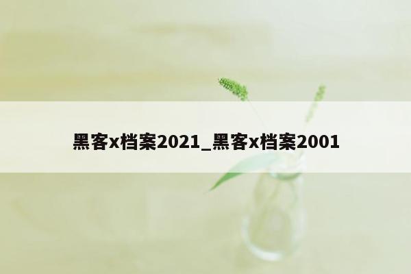 黑客x档案2021_黑客x档案2001