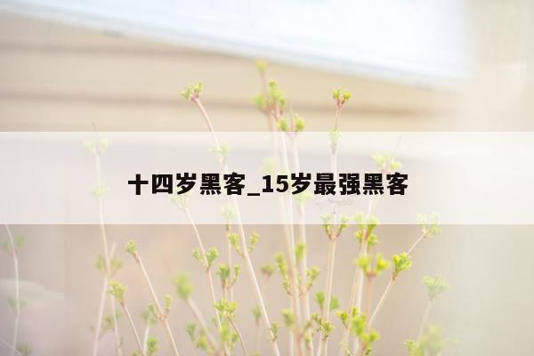 十四岁黑客_15岁最强黑客