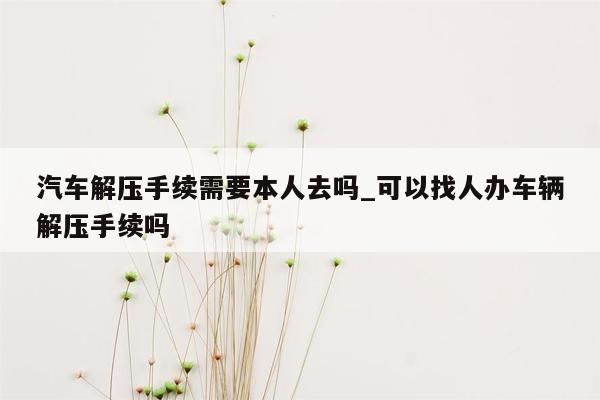 汽车解压手续需要本人去吗_可以找人办车辆解压手续吗