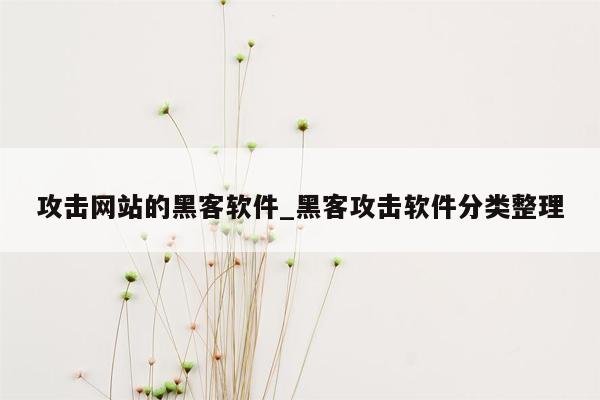 攻击网站的黑客软件_黑客攻击软件分类整理