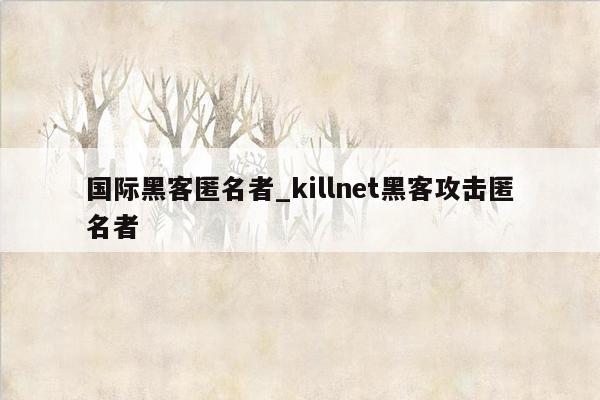 国际黑客匿名者_killnet黑客攻击匿名者