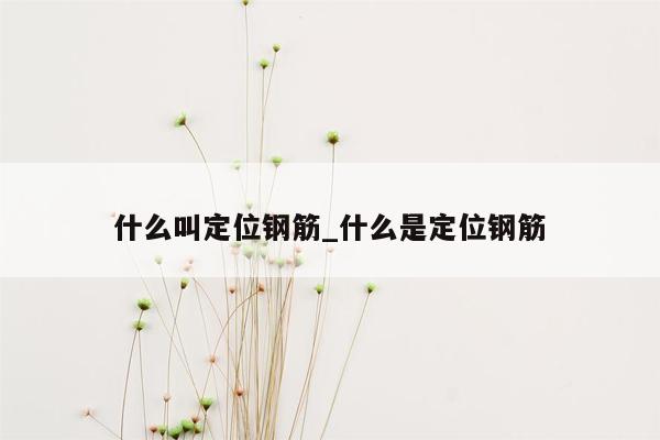 什么叫定位钢筋_什么是定位钢筋