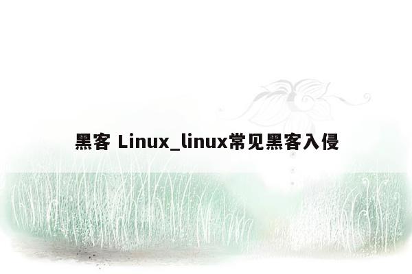 黑客 Linux_linux常见黑客入侵