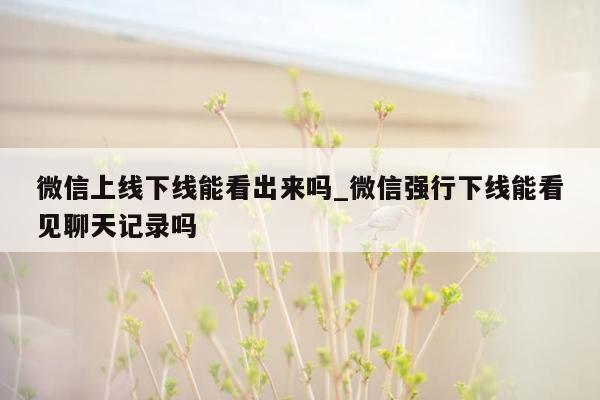 微信上线下线能看出来吗_微信强行下线能看见聊天记录吗