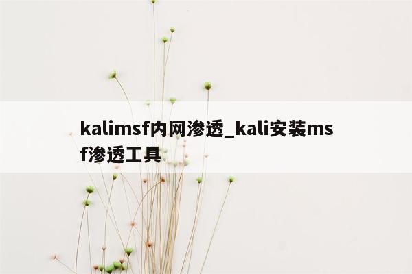 kalimsf内网渗透_kali安装msf渗透工具