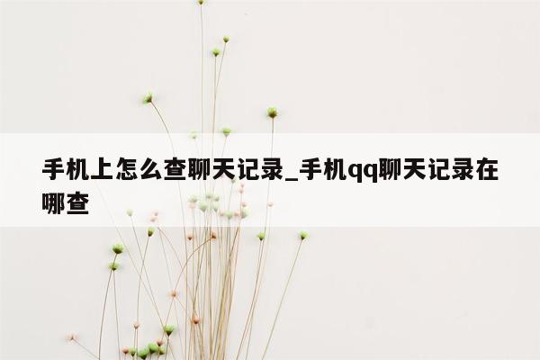 手机上怎么查聊天记录_手机qq聊天记录在哪查