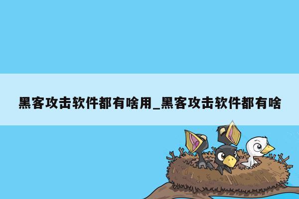 黑客攻击软件都有啥用_黑客攻击软件都有啥