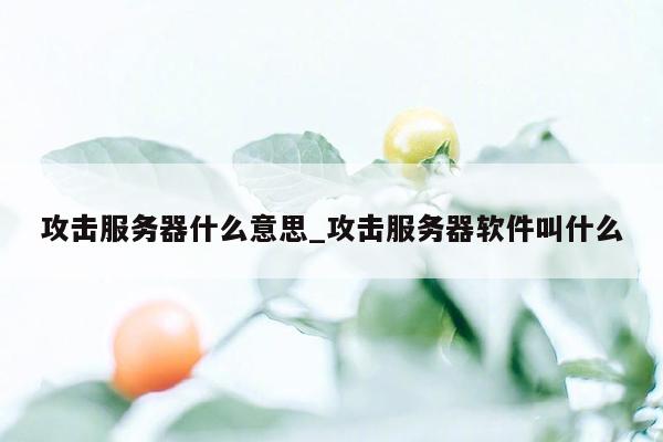 攻击服务器什么意思_攻击服务器软件叫什么