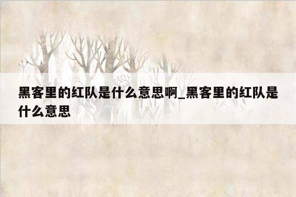 黑客里的红队是什么意思啊_黑客里的红队是什么意思