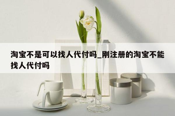 淘宝不是可以找人代付吗_刚注册的淘宝不能找人代付吗