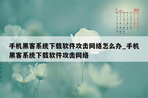 手机黑客系统下载软件攻击网络怎么办_手机黑客系统下载软件攻击网络