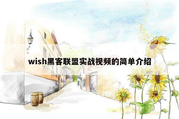 wish黑客联盟实战视频的简单介绍