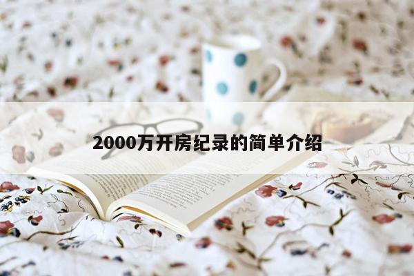 2000万开房纪录的简单介绍