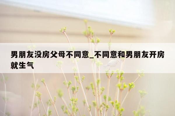 男朋友没房父母不同意_不同意和男朋友开房就生气