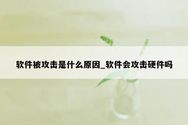 软件被攻击是什么原因_软件会攻击硬件吗