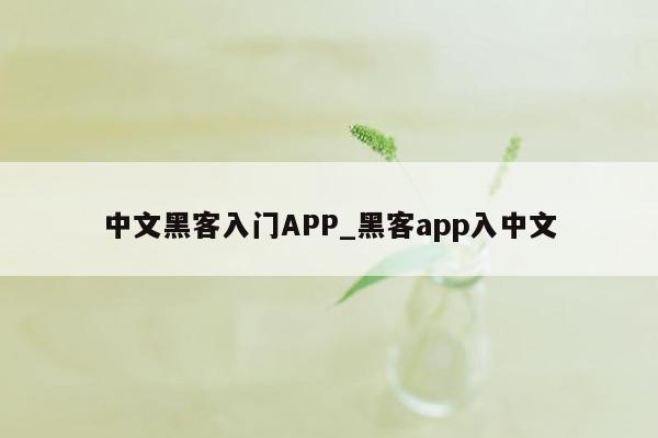 中文黑客入门APP_黑客app入中文