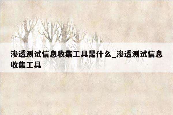 渗透测试信息收集工具是什么_渗透测试信息收集工具