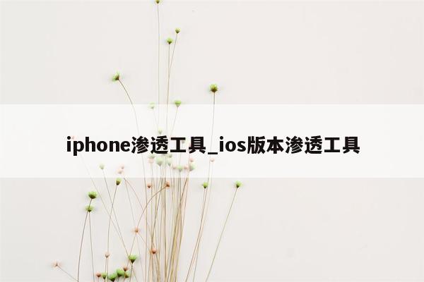 iphone渗透工具_ios版本渗透工具