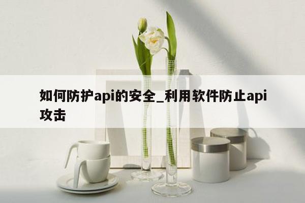 如何防护api的安全_利用软件防止api攻击