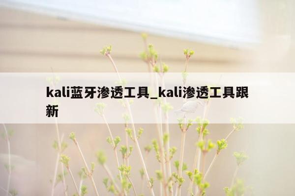 kali蓝牙渗透工具_kali渗透工具跟新