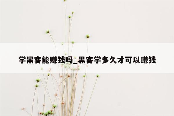 学黑客能赚钱吗_黑客学多久才可以赚钱