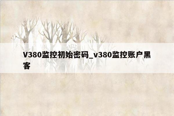 V380监控初始密码_v380监控账户黑客