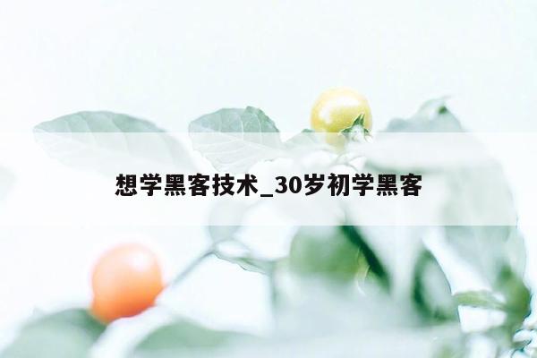 想学黑客技术_30岁初学黑客