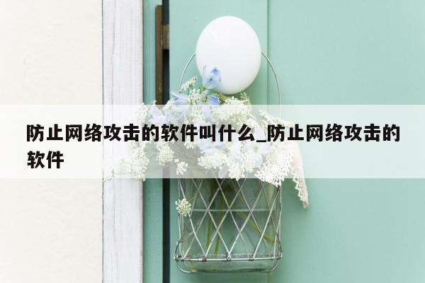 防止网络攻击的软件叫什么_防止网络攻击的软件