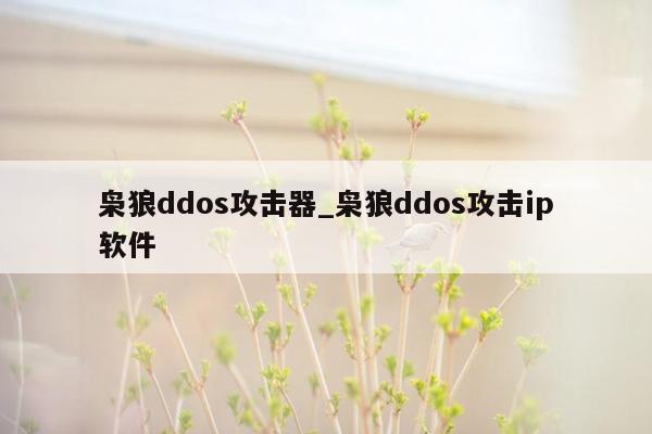 枭狼ddos攻击器_枭狼ddos攻击ip软件