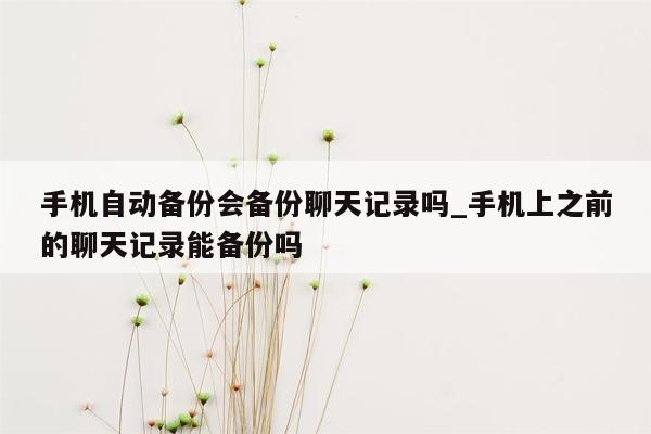 手机自动备份会备份聊天记录吗_手机上之前的聊天记录能备份吗