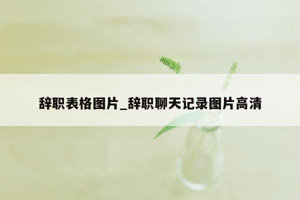 辞职表格图片_辞职聊天记录图片高清