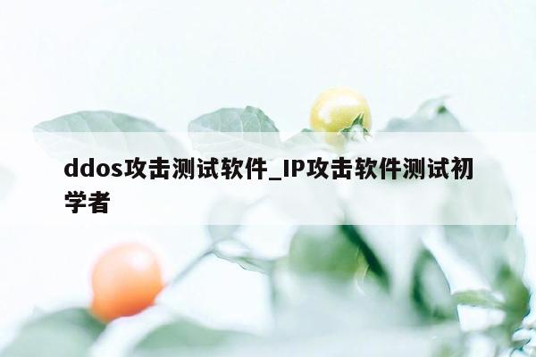 ddos攻击测试软件_IP攻击软件测试初学者