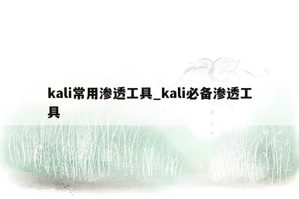 kali常用渗透工具_kali必备渗透工具