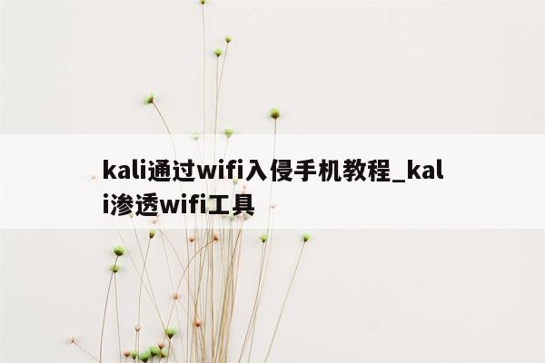 kali通过wifi入侵手机教程_kali渗透wifi工具