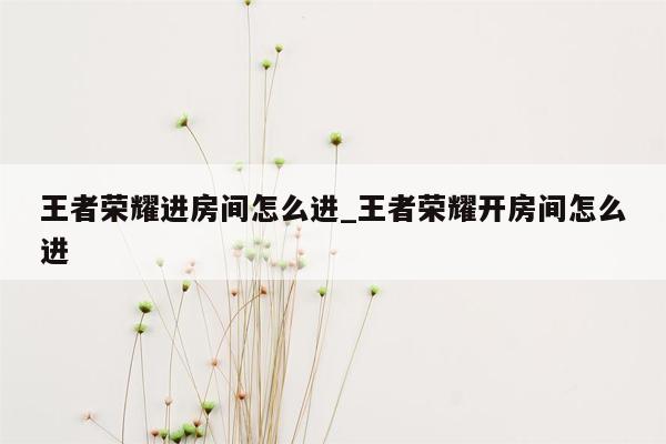 王者荣耀进房间怎么进_王者荣耀开房间怎么进