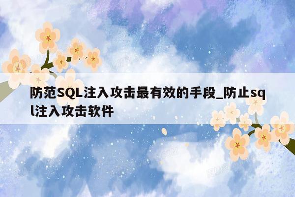 防范SQL注入攻击最有效的手段_防止sql注入攻击软件