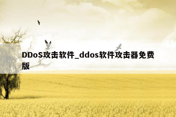 DDoS攻击软件_ddos软件攻击器免费版