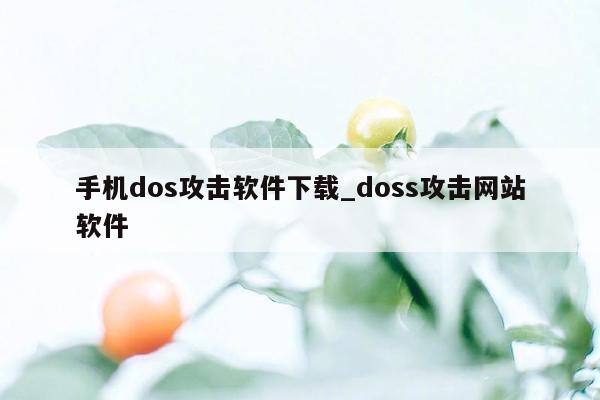 手机dos攻击软件下载_doss攻击网站软件