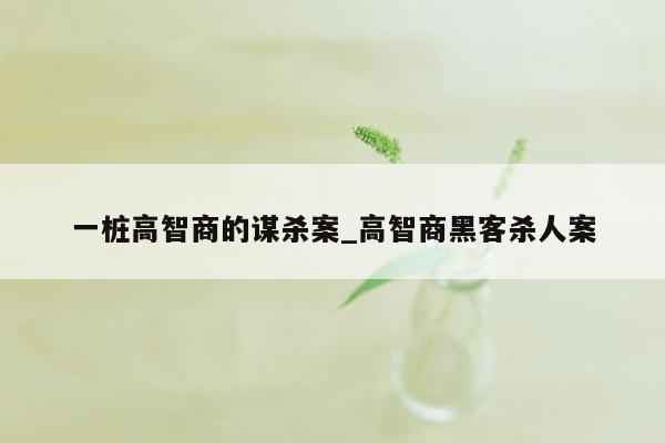 一桩高智商的谋杀案_高智商黑客杀人案