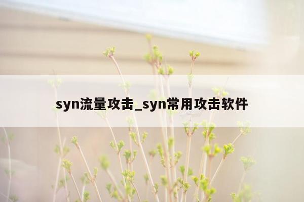 syn流量攻击_syn常用攻击软件