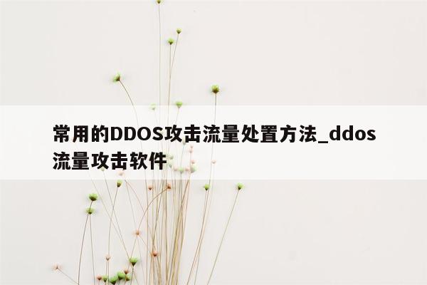 常用的DDOS攻击流量处置方法_ddos流量攻击软件