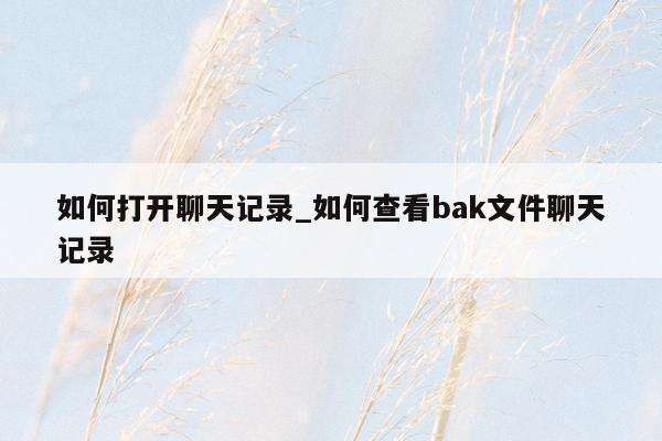 如何打开聊天记录_如何查看bak文件聊天记录