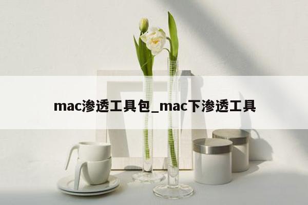 mac渗透工具包_mac下渗透工具