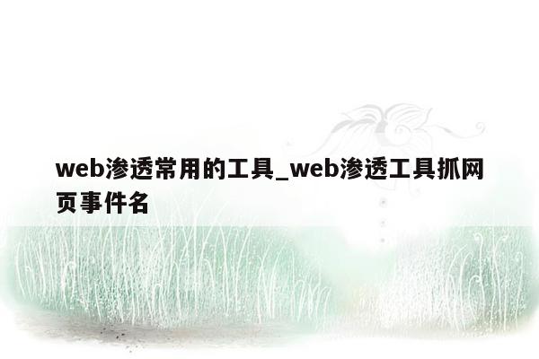 web渗透常用的工具_web渗透工具抓网页事件名