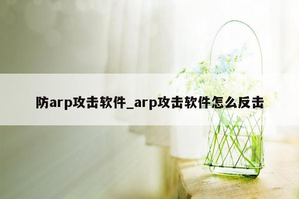 防arp攻击软件_arp攻击软件怎么反击