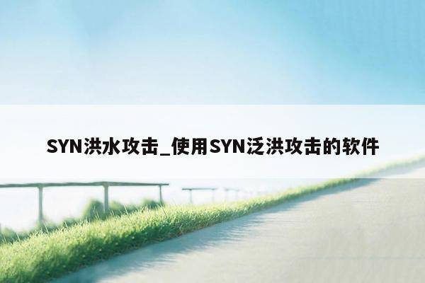 SYN洪水攻击_使用SYN泛洪攻击的软件