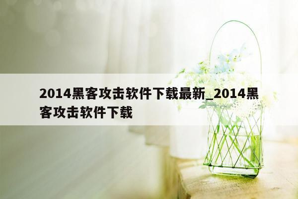 2014黑客攻击软件下载最新_2014黑客攻击软件下载